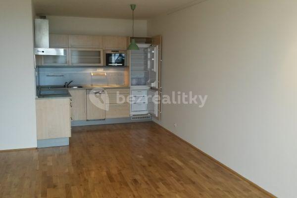 1 bedroom with open-plan kitchen flat to rent, 48 m², Hnězdenská, 