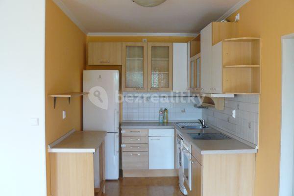 1 bedroom with open-plan kitchen flat to rent, 65 m², Kodymova, 