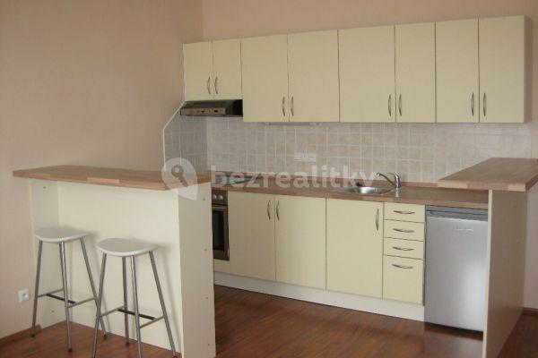 1 bedroom with open-plan kitchen flat to rent, 58 m², Čestmírova, 