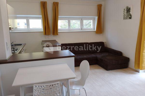 1 bedroom with open-plan kitchen flat to rent, 45 m², Renneská třída, Brno, Jihomoravský Region