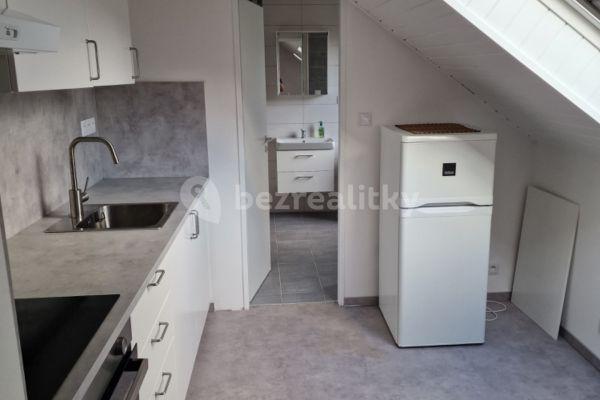 1 bedroom with open-plan kitchen flat to rent, 48 m², Nad Šestikopy, 