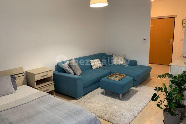 Studio flat to rent, 40 m², U Leskavy, Brno