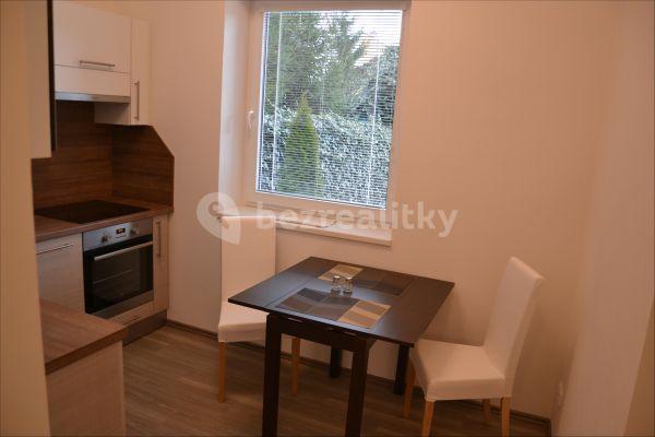 1 bedroom flat to rent, 30 m², Florianova, Brno