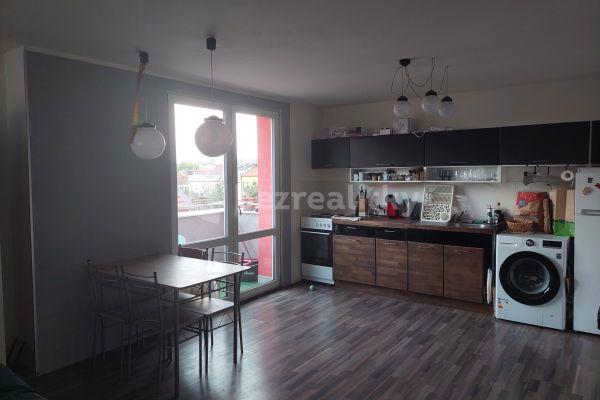 1 bedroom with open-plan kitchen flat to rent, 55 m², Dlouhé hony, Brno