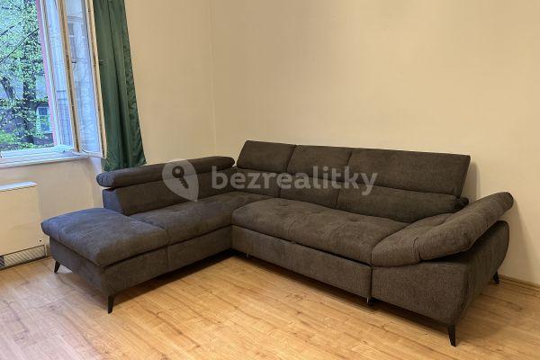 1 bedroom with open-plan kitchen flat to rent, 55 m², Národní obrany, Praha