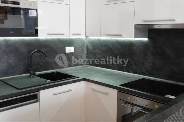 1 bedroom with open-plan kitchen flat to rent, 52 m², Halasova, 