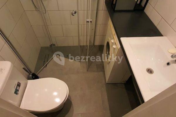 1 bedroom with open-plan kitchen flat to rent, 40 m², Na Zbořenci, Praha