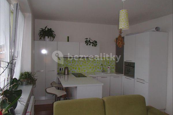 1 bedroom with open-plan kitchen flat to rent, 42 m², Hrázka, Brno