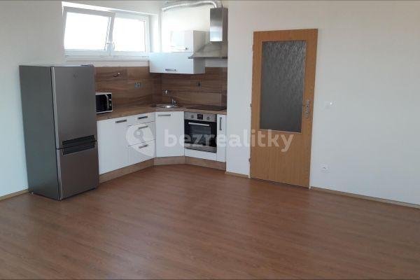 1 bedroom with open-plan kitchen flat to rent, 53 m², Bučkova, Brno