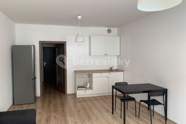 Studio flat to rent, 33 m², Pod Jarovem, Praha