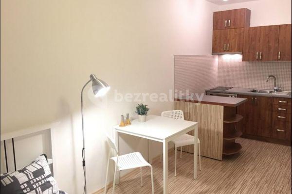 Studio flat to rent, 25 m², Hnězdenská, 