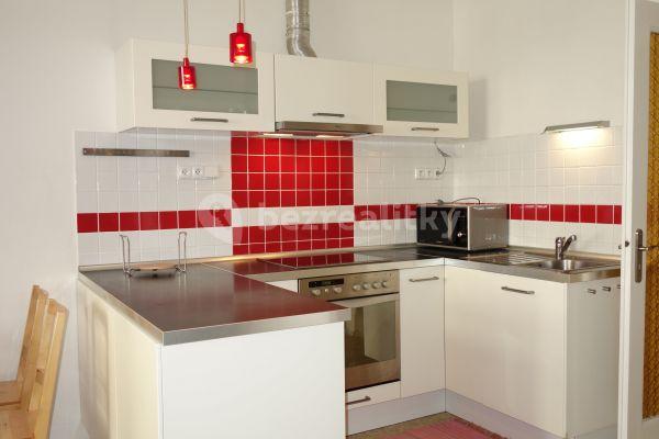 1 bedroom with open-plan kitchen flat to rent, 51 m², Drahobejlova, Praha 9