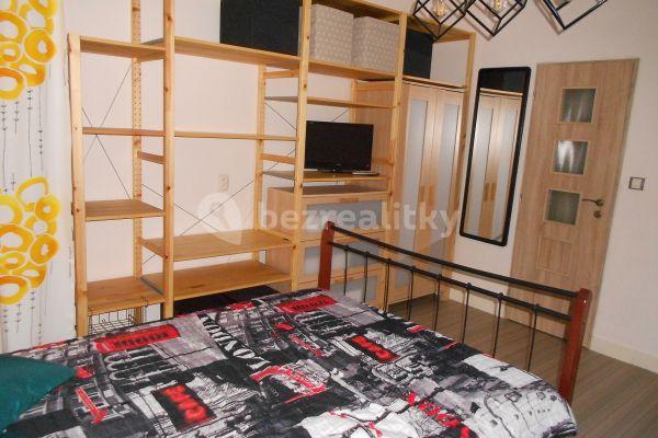 1 bedroom with open-plan kitchen flat to rent, 42 m², Rotalova, Brno-sever