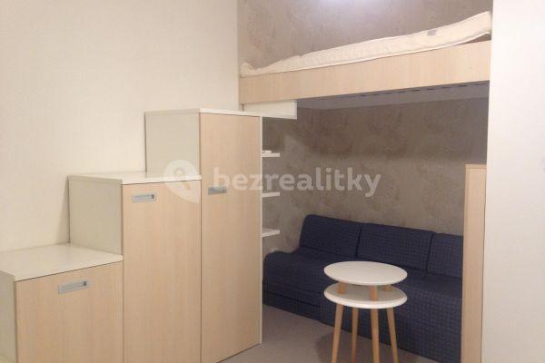 Small studio flat to rent, 14 m², Myslíkova, Praha