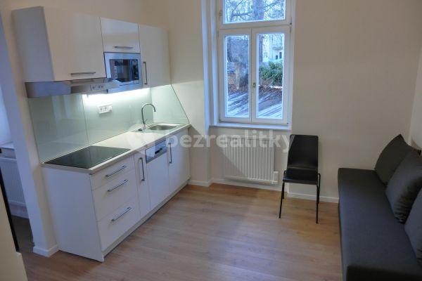 1 bedroom with open-plan kitchen flat to rent, 37 m², Ježkova, Praha 3