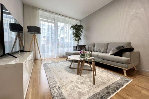 1 bedroom with open-plan kitchen flat to rent, 109 m², Voskovcova, Praha