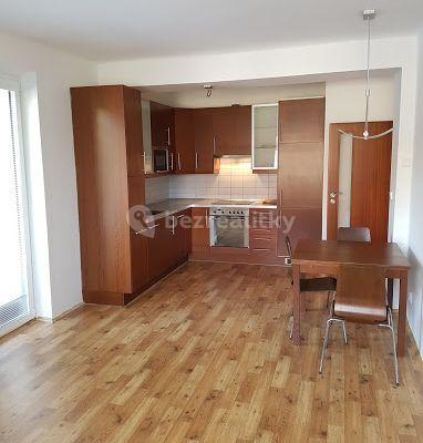 2 bedroom with open-plan kitchen flat to rent, 56 m², Nad Zlíchovem, Hlavní město Praha