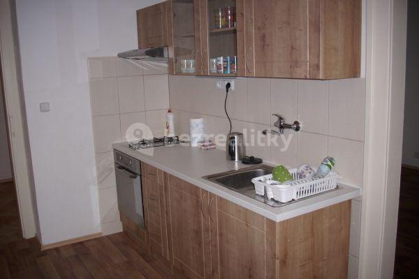 1 bedroom with open-plan kitchen flat to rent, 54 m², Čechova, Plzeň 3