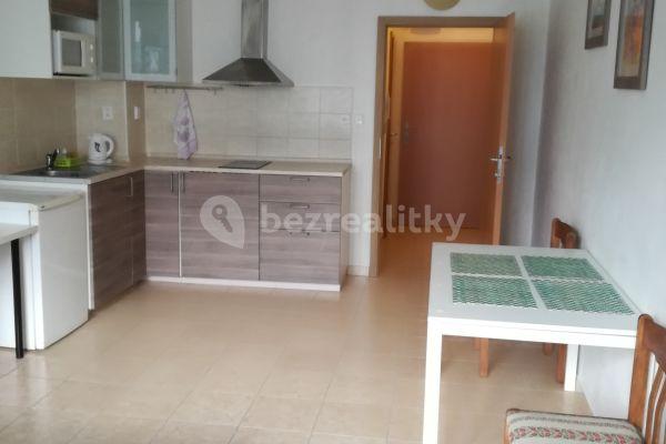 Studio flat to rent, 28 m², Jankovcova, Praha