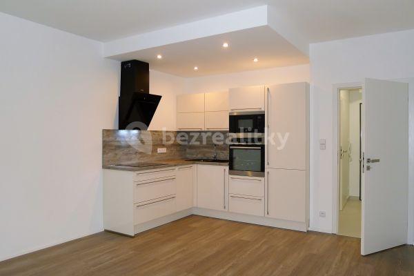 1 bedroom with open-plan kitchen flat to rent, 55 m², Honzíkova, 