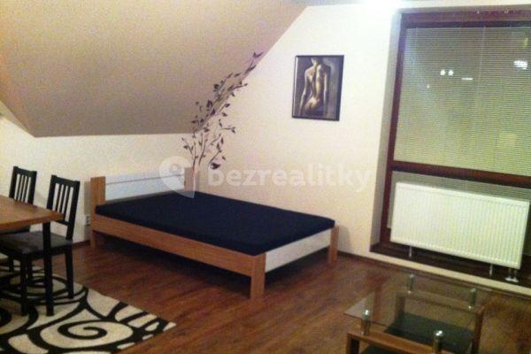 Studio flat to rent, 38 m², Lomená, Jesenice