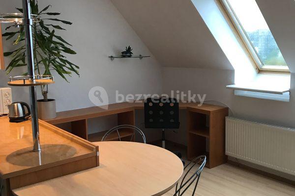 Small studio flat to rent, 36 m², Jilmová, Praha