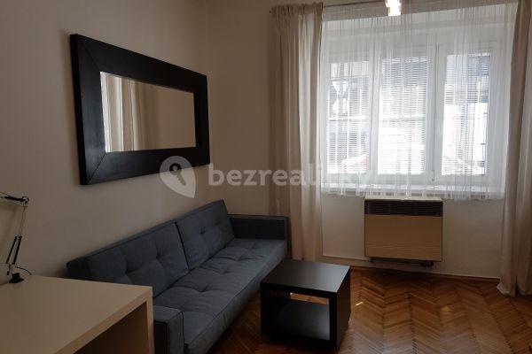 1 bedroom with open-plan kitchen flat to rent, 47 m², V Mezihoří, Hlavní město Praha