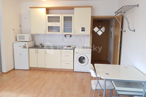 Studio flat to rent, 30 m², Braunerova, Praha