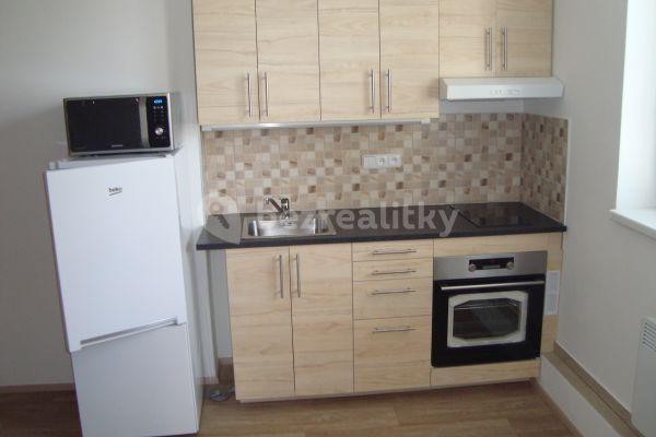 1 bedroom with open-plan kitchen flat to rent, 41 m², Perunova, Brno-město