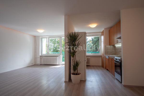1 bedroom with open-plan kitchen flat to rent, 60 m², Kroupova, Praha