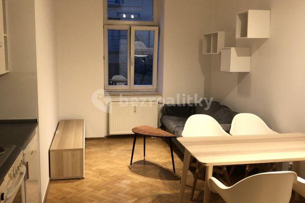 1 bedroom with open-plan kitchen flat to rent, 33 m², Mozartova, Praha