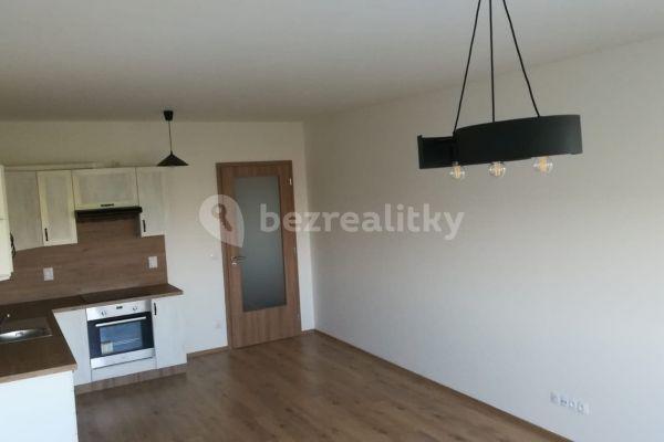 1 bedroom with open-plan kitchen flat to rent, 60 m², Svatošových, Hlavní město Praha