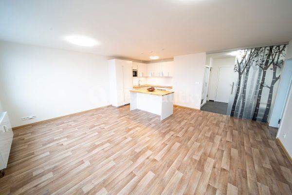 1 bedroom with open-plan kitchen flat to rent, 64 m², Zdiměřická, Praha