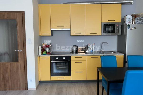 1 bedroom with open-plan kitchen flat to rent, 53 m², Chudčická, 