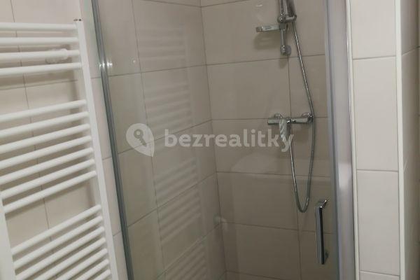 Studio flat to rent, 40 m², K Letišti, Oblekovice