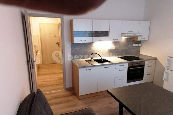 1 bedroom with open-plan kitchen flat to rent, 37 m², Rerychova, Brno