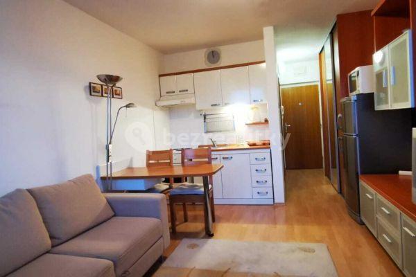 Small studio flat to rent, 25 m², Zadunajská cesta, Petržalka, Bratislavský Region