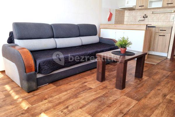 Studio flat to rent, 24 m², 28. října, Neratovice