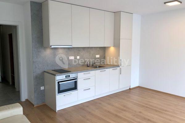 1 bedroom with open-plan kitchen flat to rent, 52 m², V jehličí, Praha