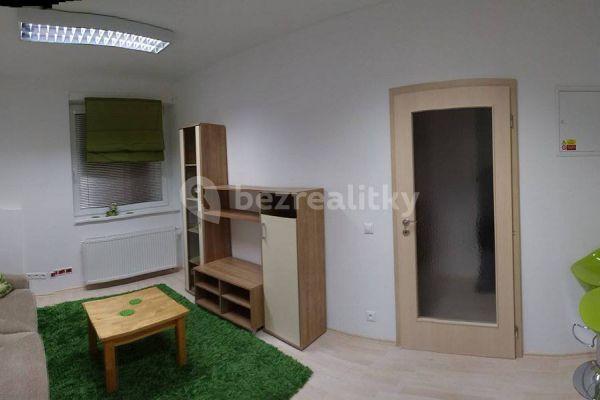 1 bedroom flat to rent, 22 m², Šedova, Praha