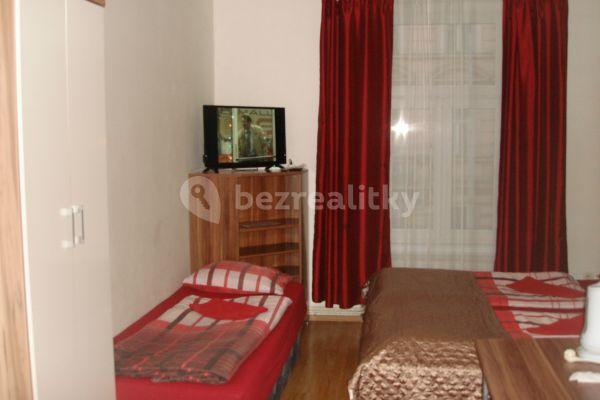 Small studio flat to rent, 20 m², Plzeňská, Praha