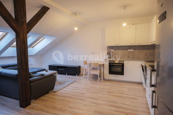 1 bedroom with open-plan kitchen flat to rent, 67 m², Körnerova, Brno