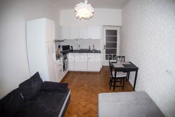 1 bedroom with open-plan kitchen flat to rent, 55 m², Mikovcova, Praha