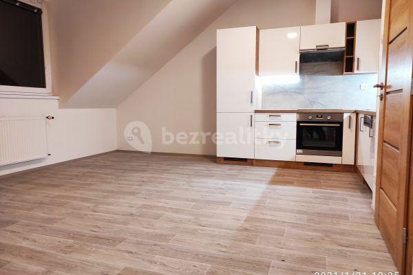 1 bedroom with open-plan kitchen flat to rent, 50 m², Hrdlořezská, Praha