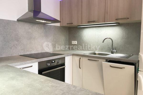 1 bedroom with open-plan kitchen flat to rent, 60 m², Sídlištní, Praha