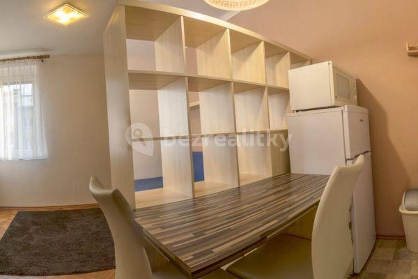 Small studio flat to rent, 27 m², Nad Jezerkou, Praha