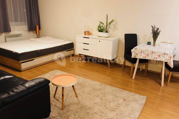 1 bedroom with open-plan kitchen flat to rent, 48 m², V Roháči I., 