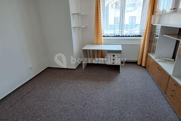 1 bedroom with open-plan kitchen flat to rent, 59 m², Na Panském, Rudná