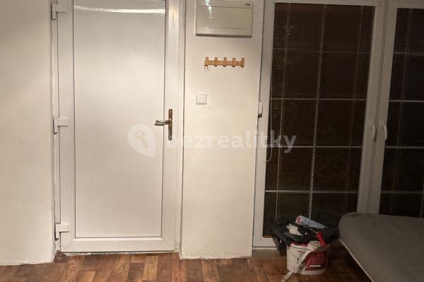 1 bedroom with open-plan kitchen flat to rent, 25 m², Nad Schody, Praha