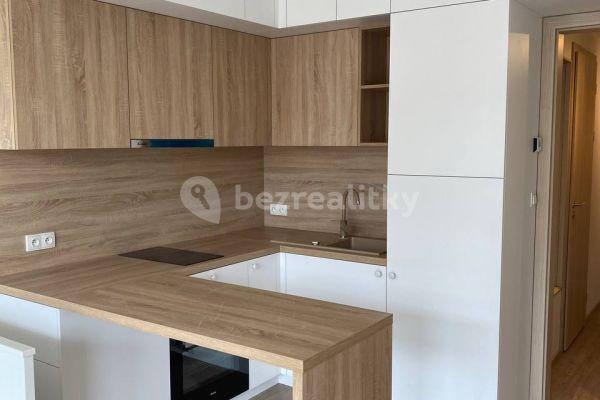 Studio flat to rent, 30 m², Do Zahrádek Ⅰ, 